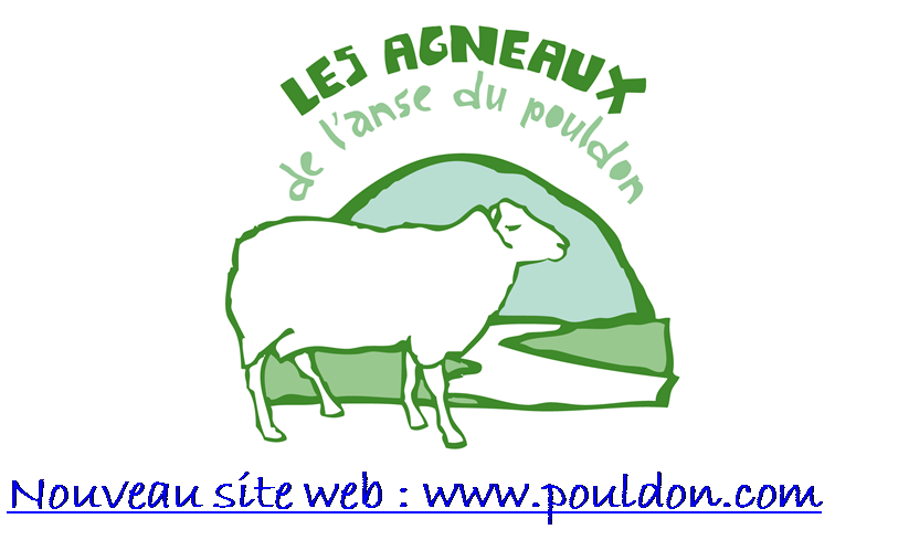 logo agneau